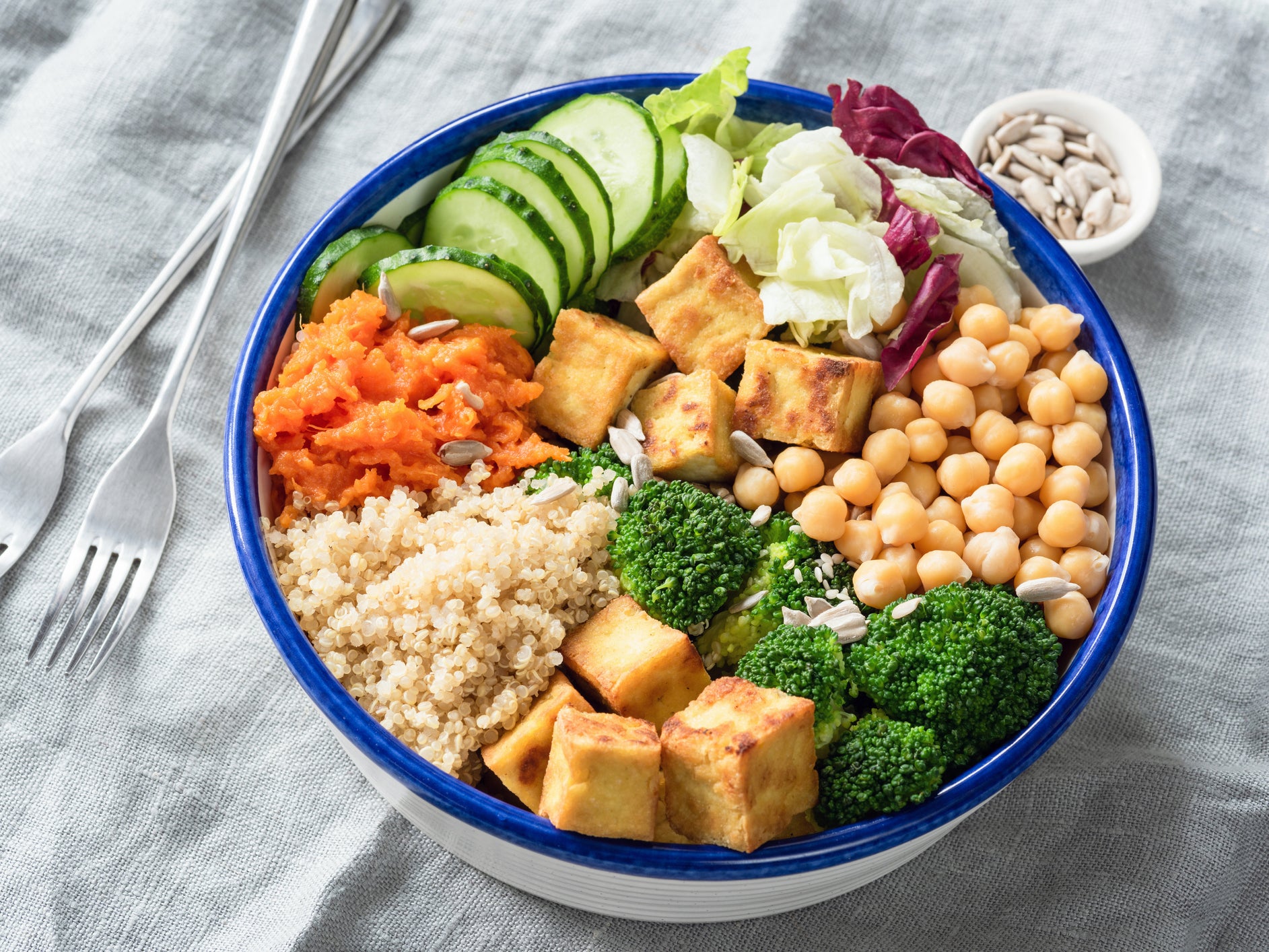 The Pros and Cons of a Vegetarian Diet