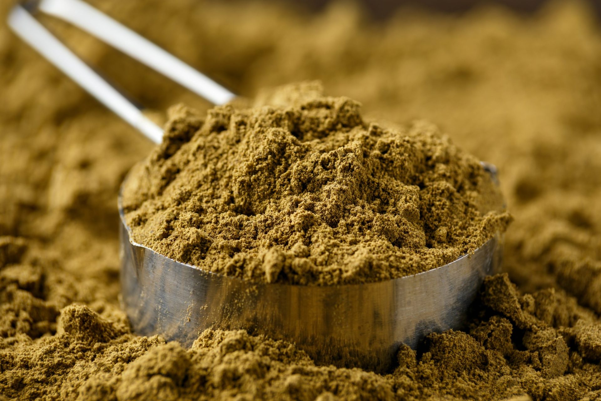 The Major Benefits of Vegan Protein Supplements